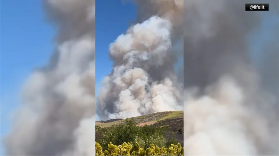 California Ventura County Resident Evacuates Ahead of Fire, With Chickens
