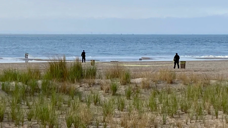 Brooklyn Mother Sentenced to 20 Years to Life for Drowning 3 Children at Coney Island Beach