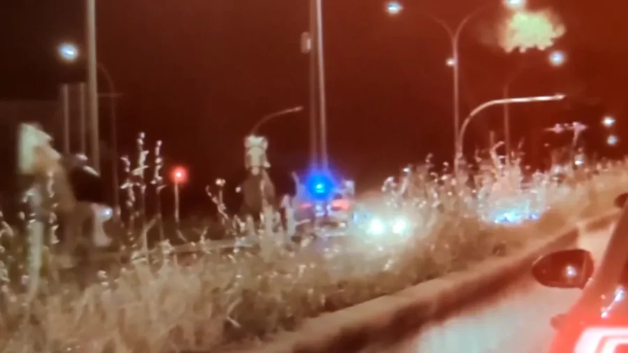 Horses Spooked by Fireworks Run Wild Through Rome