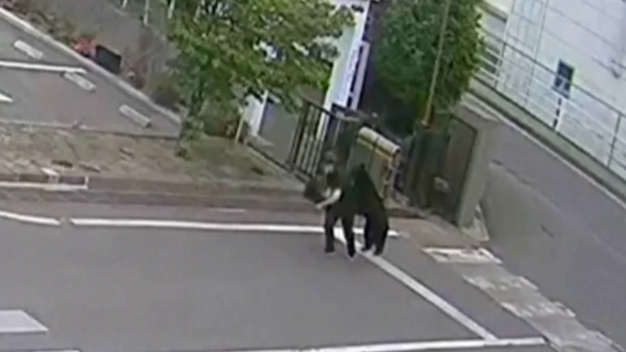 Bear Attack in Japan Injures 4