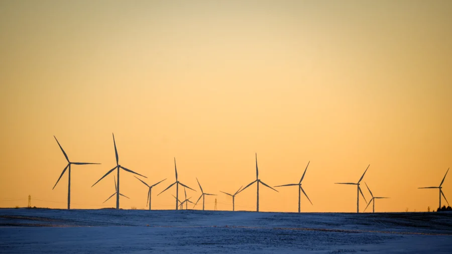 NY and 6 States Sue Federal Government Over Canceled Wind Project