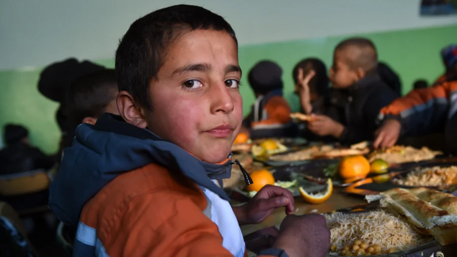 About 866 Million Illnesses Linked to Contaminated Food Annually: WHO