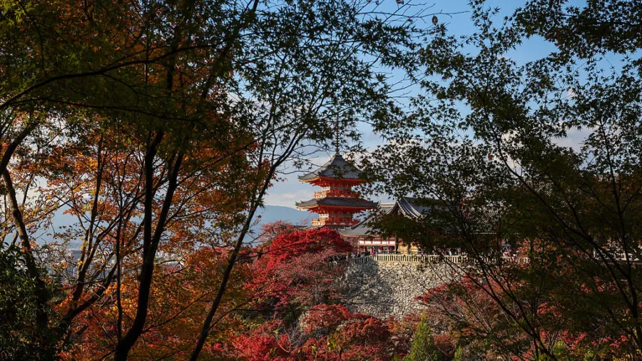 Auburn University Student Missing for Days Found Dead in Japan