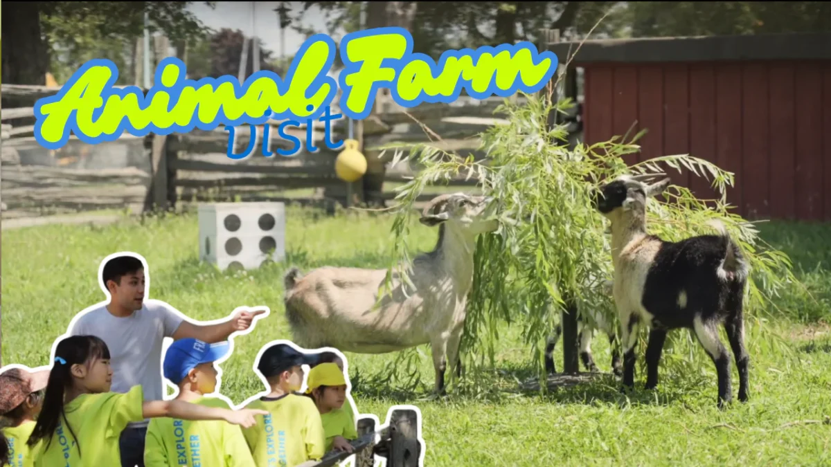 Episode 9: Visiting the Animal Farm