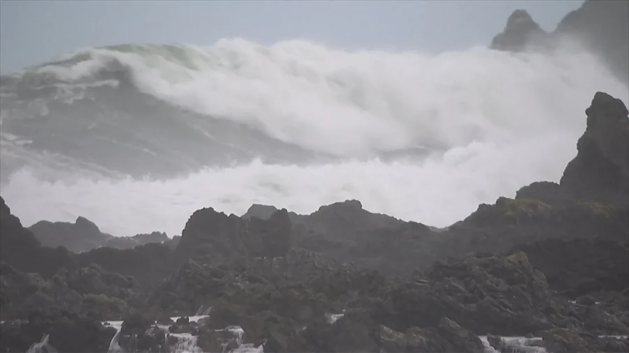 Massive Waves and Gale Winds Slam New Zealand Capital