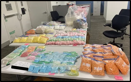 DHS Announces Convictions of 2 Illegal Aliens in Massive Counterfeit Pill Mill Network
