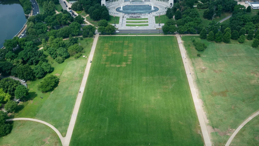 Authorities Investigate Large '8647' Marking Found on National Mall Grounds