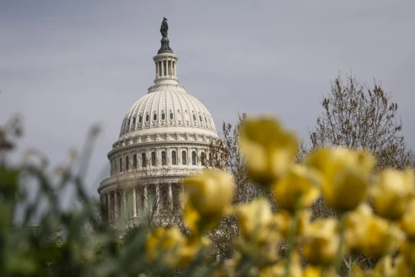Congress Back in Session to Tackle Election Integrity, Housing, Intelligence