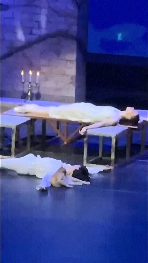 ‘Romeow’ and Juliet: Cat Steals the Show During Russian Ballet Company Performance in Turkey