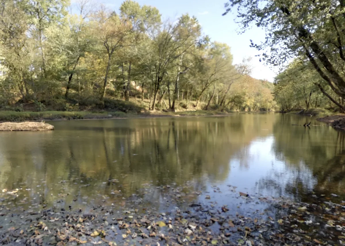 Kentucky Mother Dies After Rescuing Child From Creek