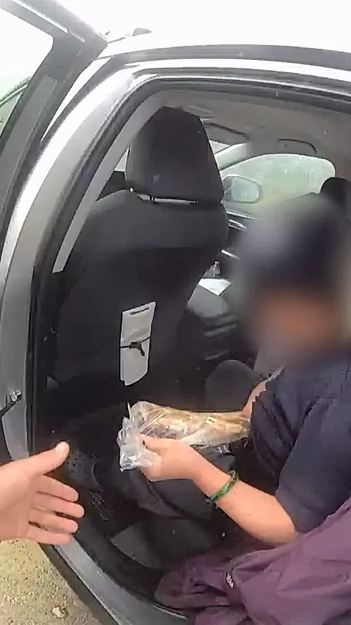 Group Caught Hiding Live Crabs in Specially-Sewn in Washington State