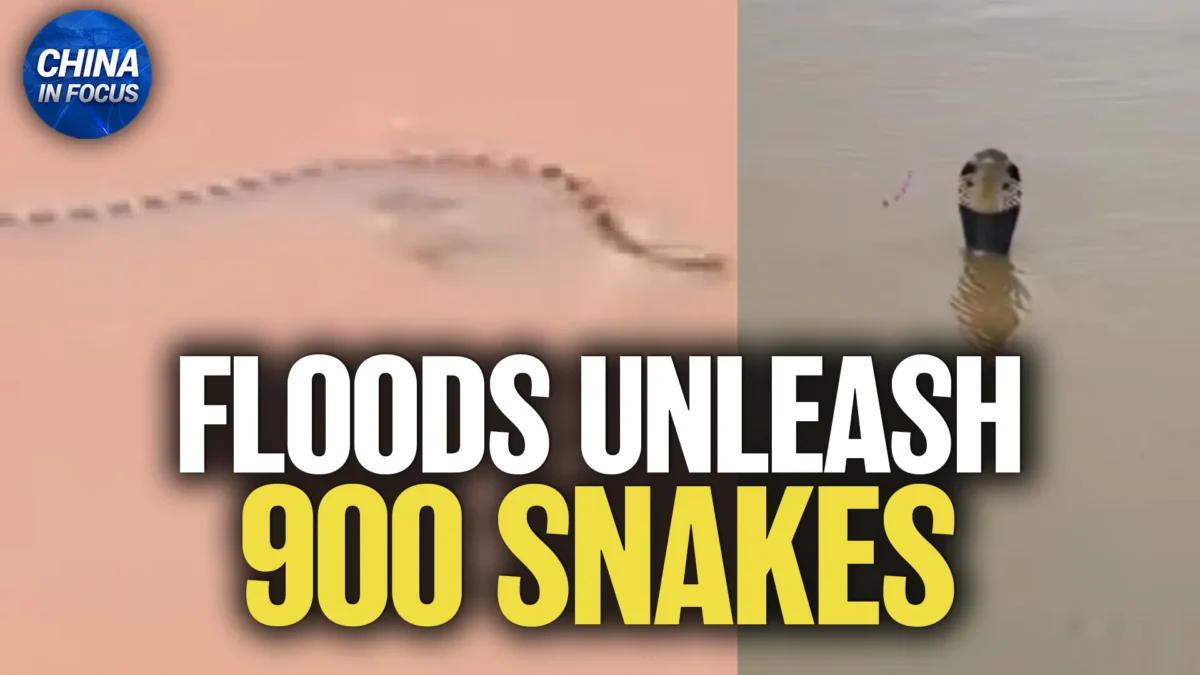 Trump Backs Turkey F-35 Jet Deal; Floods Unleash 900 Snakes in China