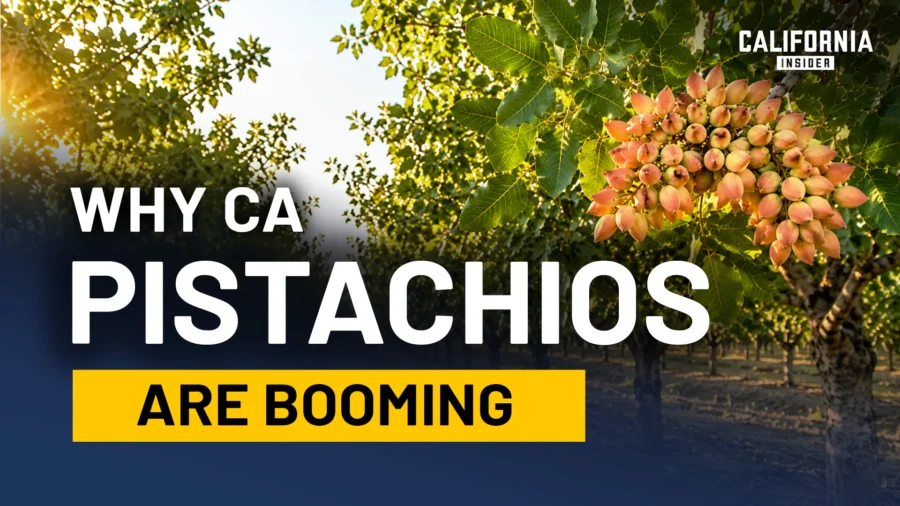 A Farming Takeover Happened in California; Most Residents Never Noticed | Tom Coleman & Stephen Vasquez