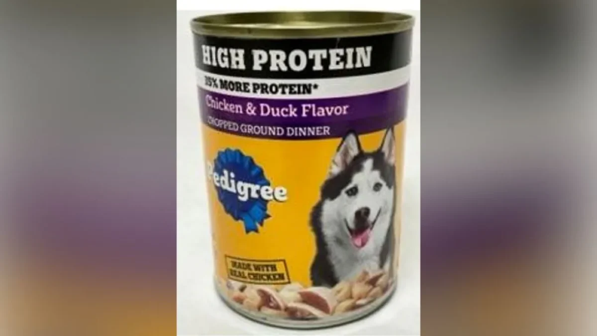Pet Food Company Recalls Popular Dog Food Over Choking Risk