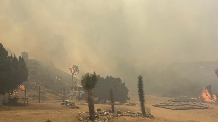 Evacuations Ordered in Los Angeles County as Summit Fire Grows