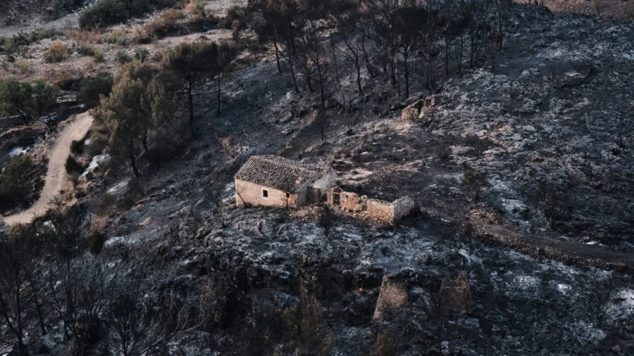 Hundreds of Firefighters Battle Wildfire in Southern Spain That Killed at Least 12