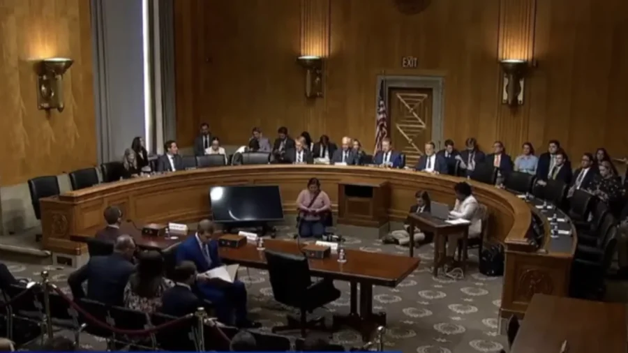 Senate Hearing: Taxpayers Foot Bill For Billions In Fraud