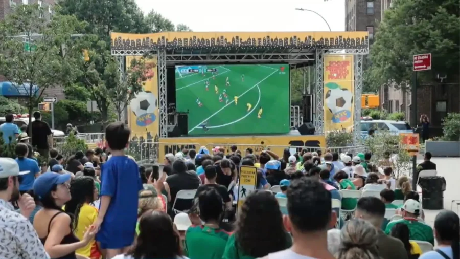 Authorities Seize Over 1,000 Illegal World Cup Streaming Websites