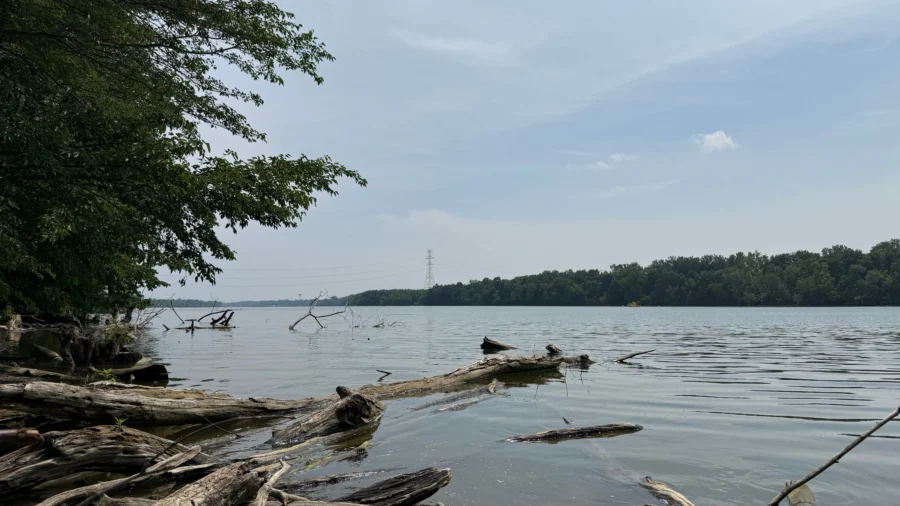 5 Die in Ohio River After Attempt to Rescue Struggling Swimmer, Sheriff Says