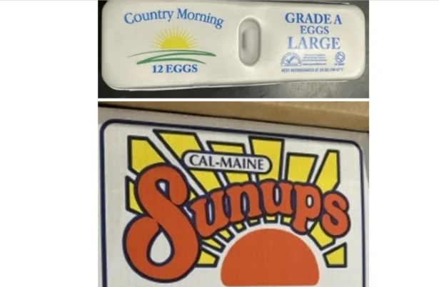 Image provided by the FDA