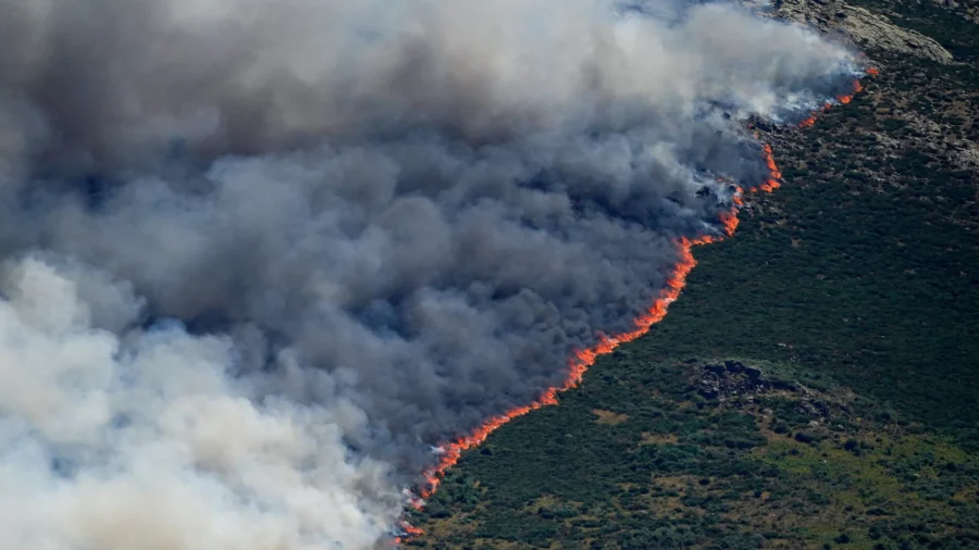 Spain Declares National Emergency as Wildfires Rage West of Madrid
