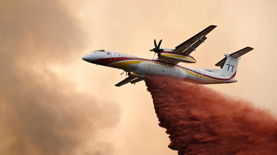 France Battles Worst Wildfire on Record as Flames and Heat Sweep Southern Europe