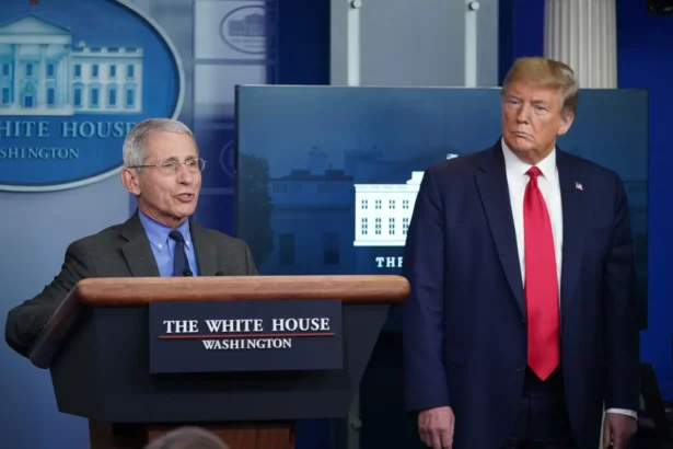Director of the National Institute of Allergy and Infectious Diseases Anthony Fauci, left, speaks as then-President Donald Trump listens, at the White House in Washington on April 13, 2020. (Mandel Ngan/AFP via Getty Images)