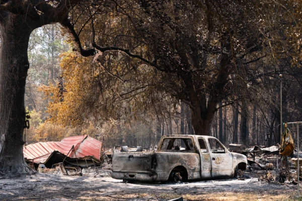View of Wildfire Damage in Washington State