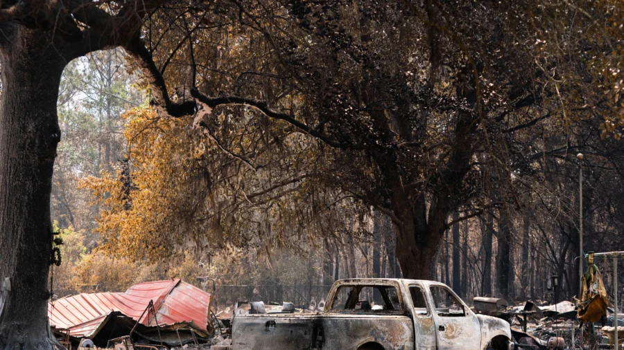 View of Wildfire Damage in Washington State