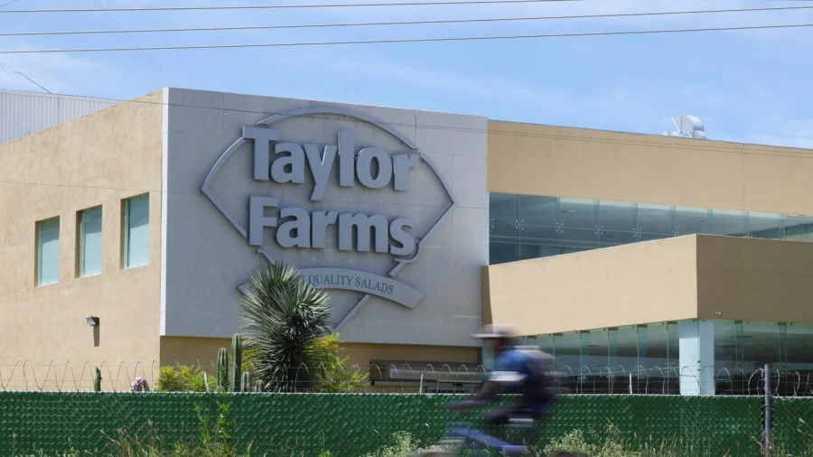 Taylor Farms Recalls Salsa and Guacamole Over Salmonella Risk
