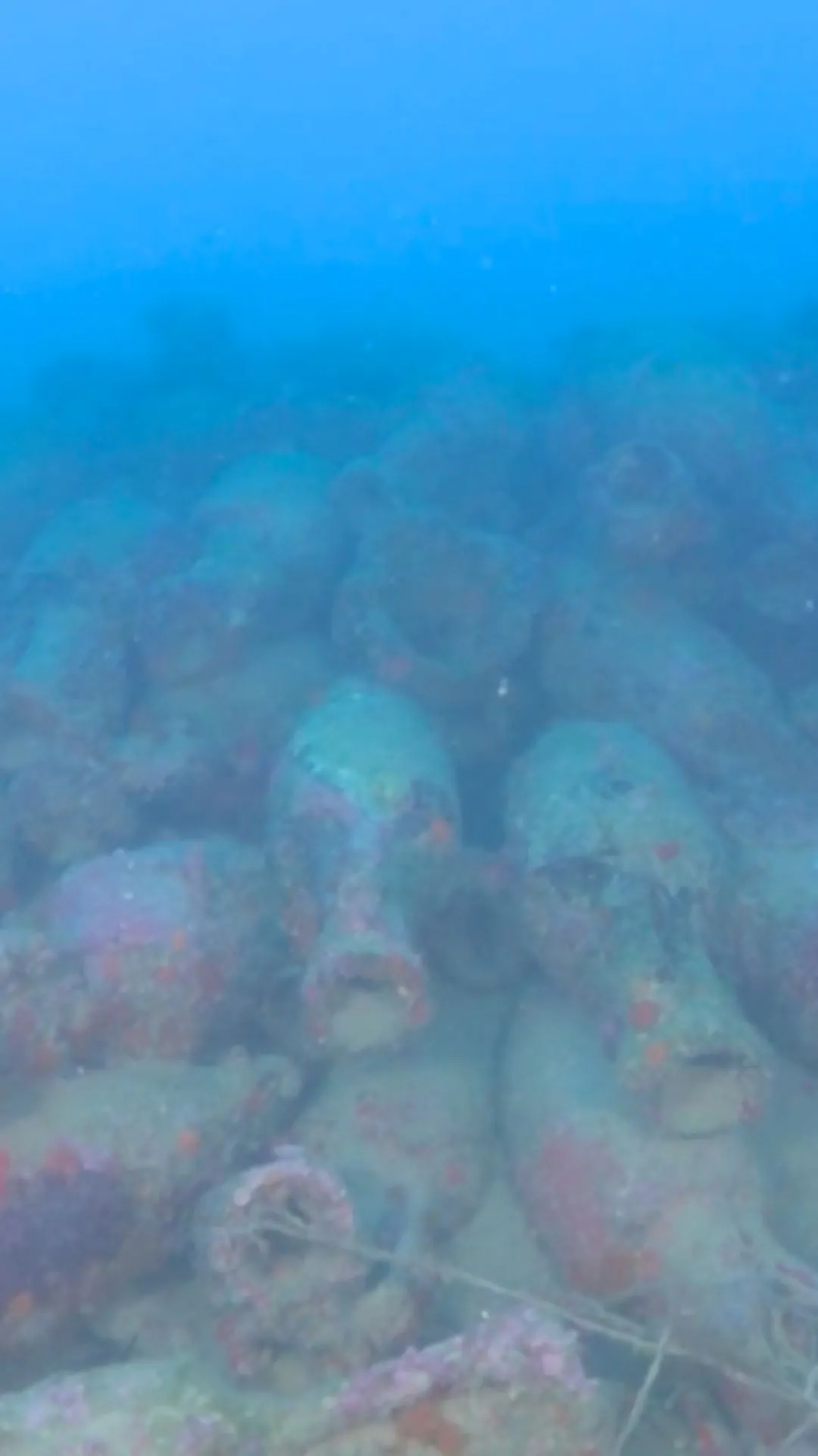 Italian Fishermen Find Ancient Roman Shipwreck Off Sicily