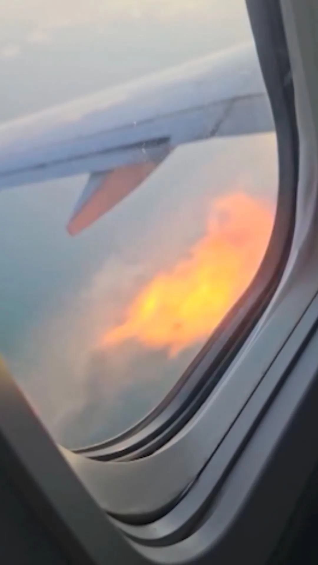 Video: American Airlines Bird Strike Forces Boeing 737’s Emergency Landing
