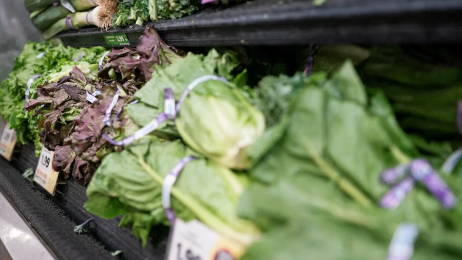Acting FDA Chief Urges Confidence in Lettuce as Agency Updates Produce Safety Guidance