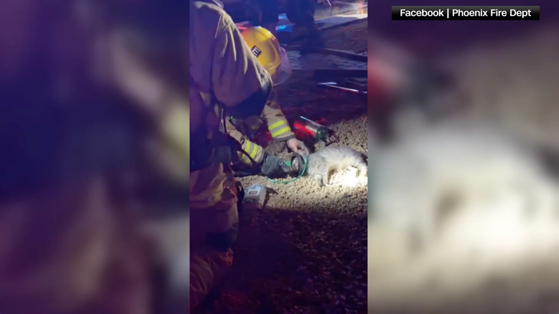 Firefighters Revive Cat After House Fire Using Pet-Sized Oxygen Mask