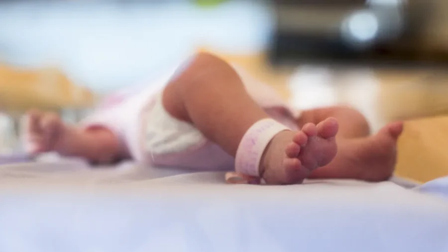 As Concerns Over Birth Tourism Schemes Grow, a Florida Senator Leads Legislation Against It