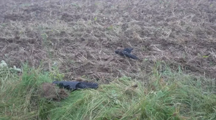 Drone Downed by NATO Jet in Lithuania 'Most Probably' From Russia, Italy Says