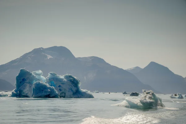 Trump's Greenland Deal Is a 3-way Win: Former US Ambassador to Denmark