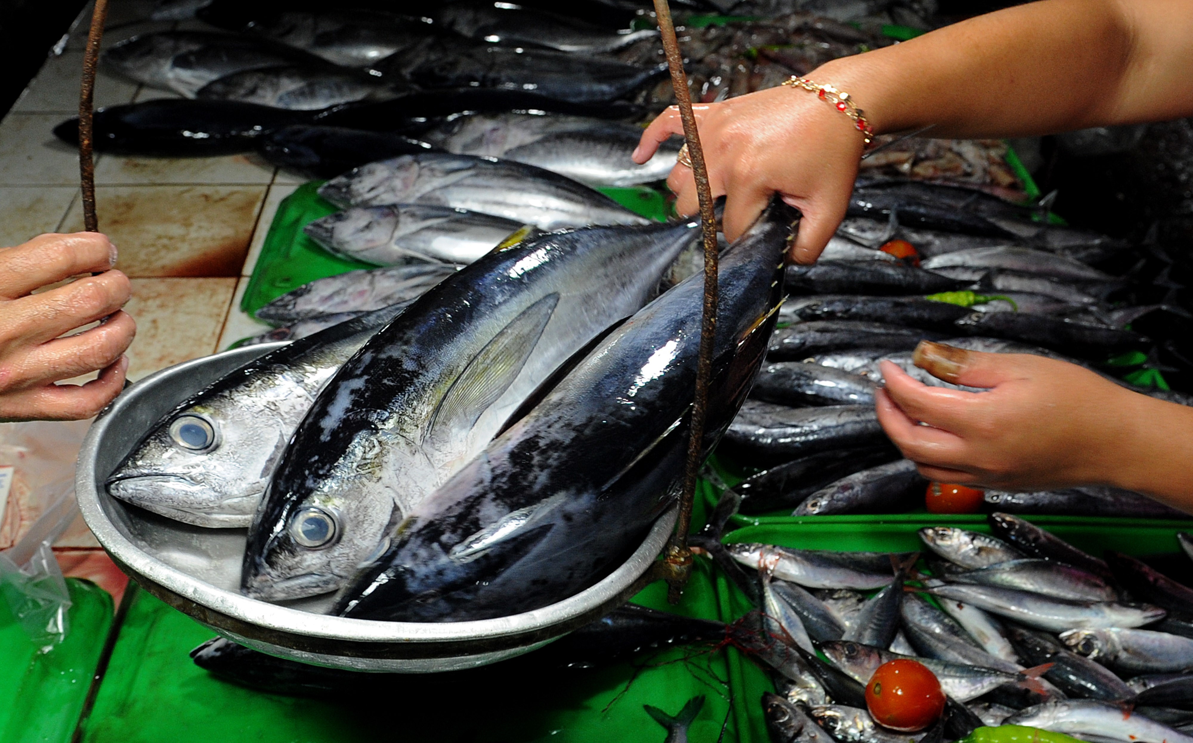 A vendor weighs yellowfin tuna at a market in Manila on Oct. 2, 2015. (Jay Directo/AFP/Getty Images)