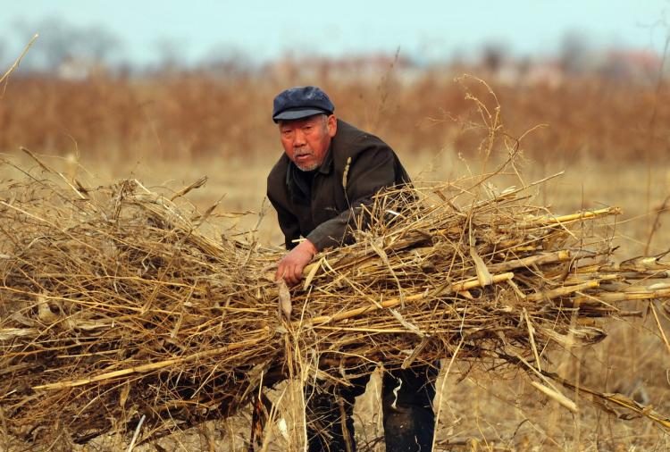 Chinese Farmers Cope With Flooded Crops