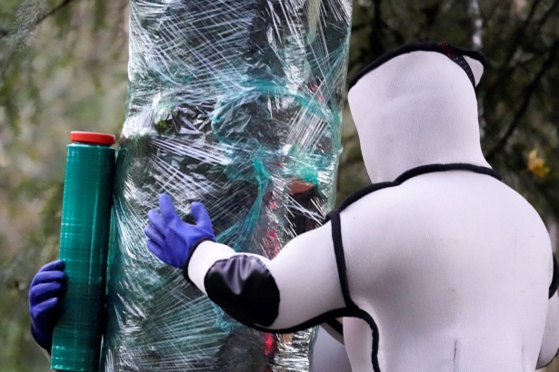 Washington State Department of Agriculture workers finish wrapping a tree in plastic after working to eradicate a nest inside of Asian giant hornets in Blaine, Wash., on Oct. 24, 2020. (Elaine Thompson/AP Photo)