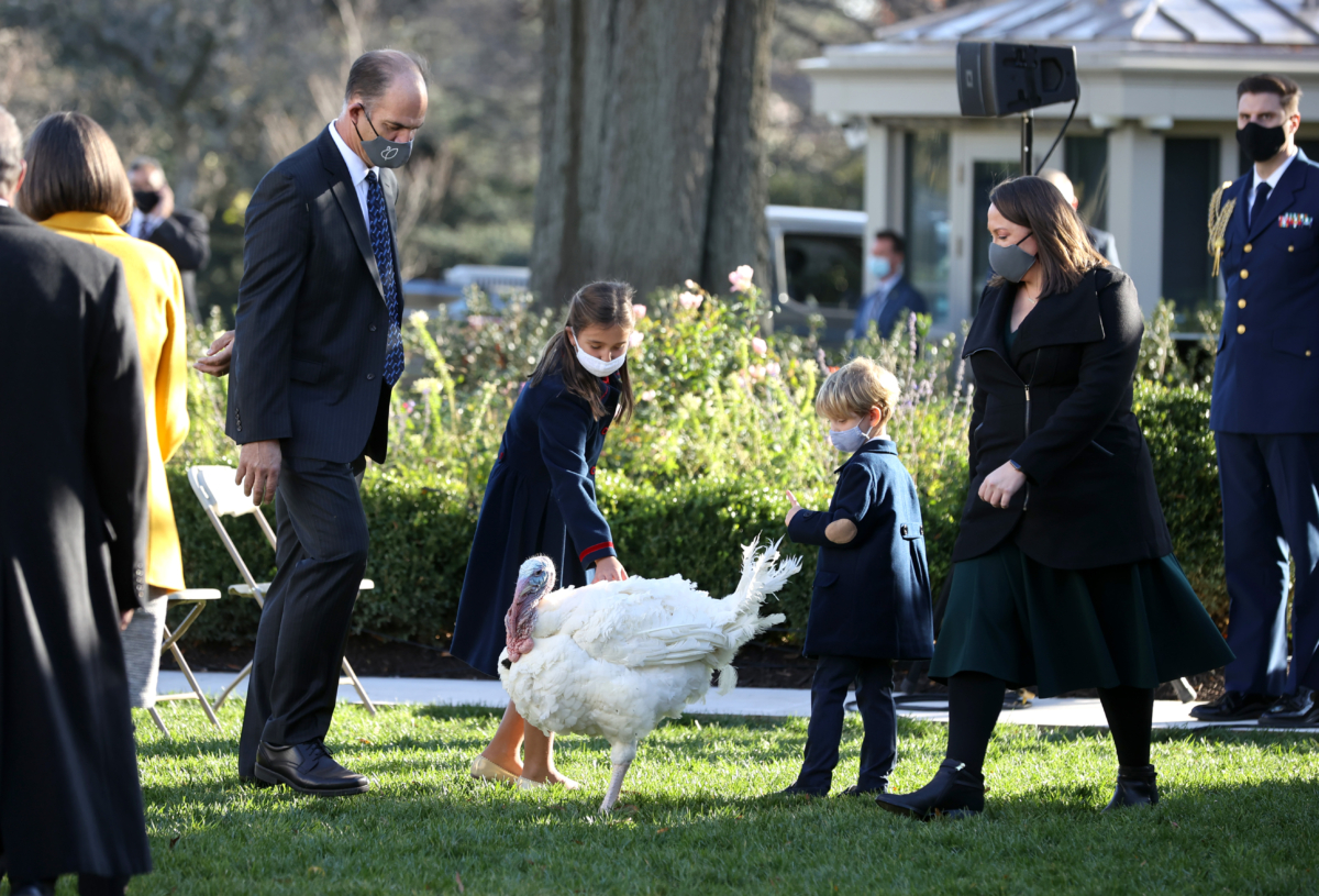 Ivanka Trump's children play with a turkey