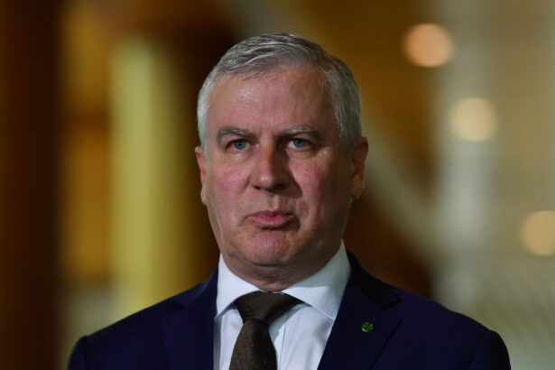 Then Deputy Prime Minister Michael McCormack in Parliament House in Canberra December 16, 2020. (Sam Mooy/Getty Images)