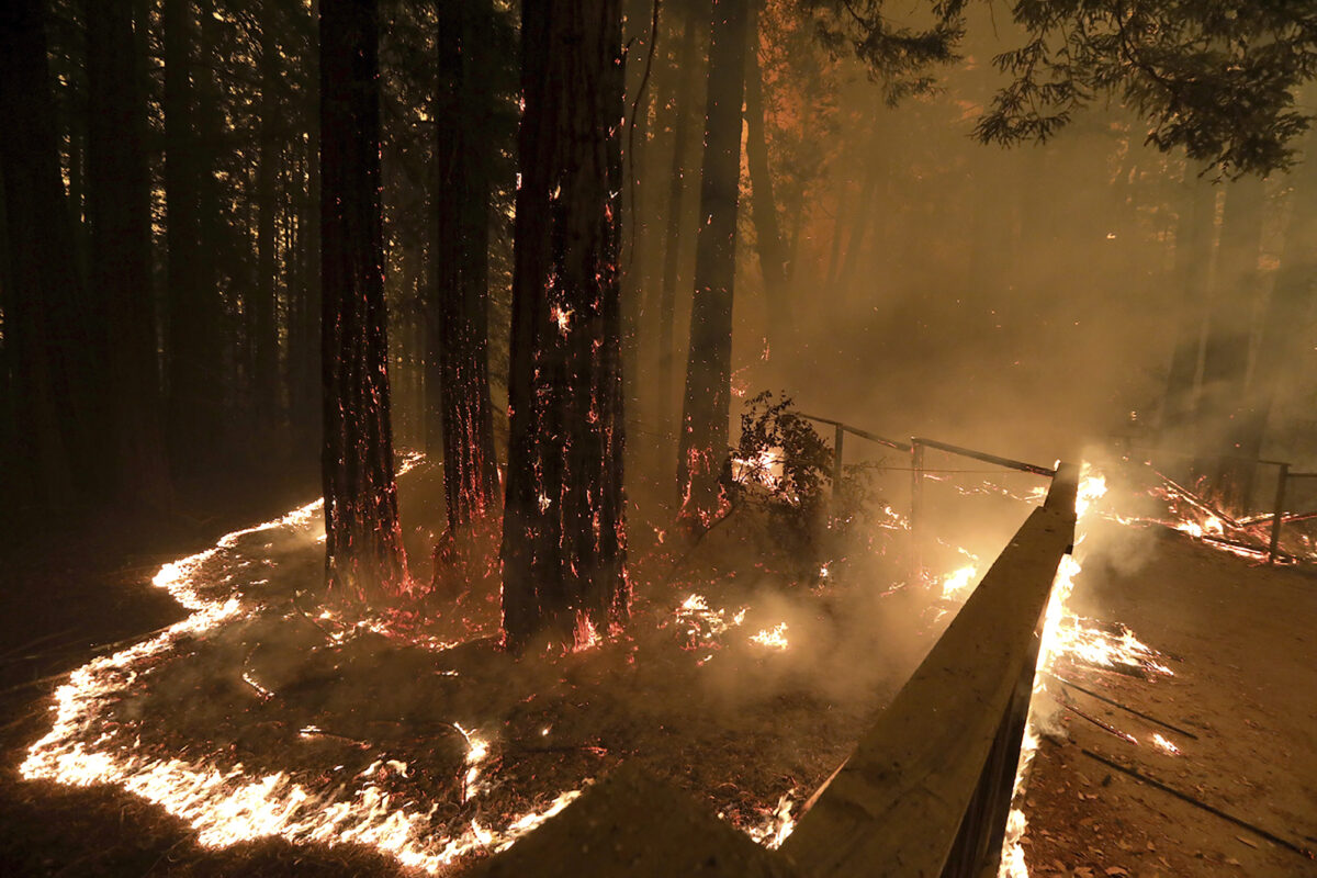 The CZU August Lightning Complex fire