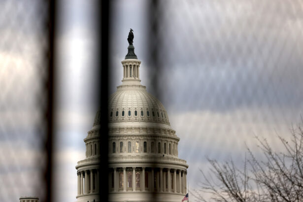 The U.S. Capitol dome