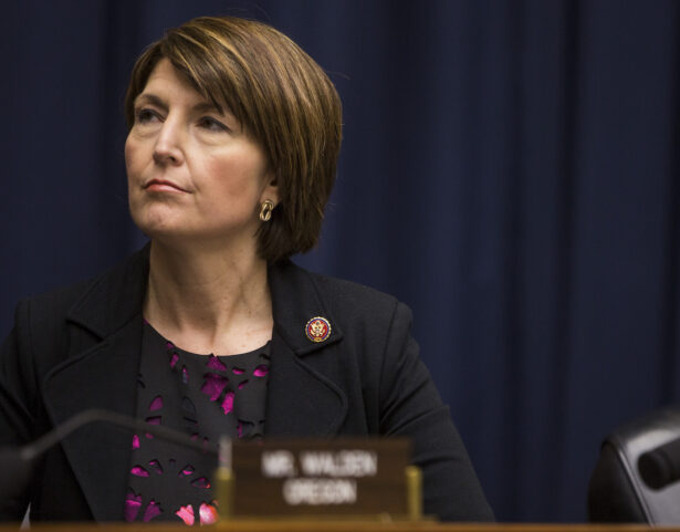Rep. Cathy McMorris Rodgers (R-Wash.) attends a House hearing on Capitol Hill in Washington on April 2, 2019. (Zach Gibson/Getty Images)