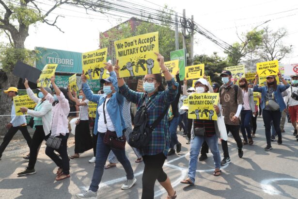 Anti-coup protesters 