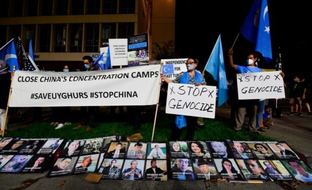 Protesters and a display of photographs