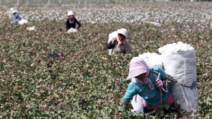 US Not Enforcing Slave Labor Laws?
