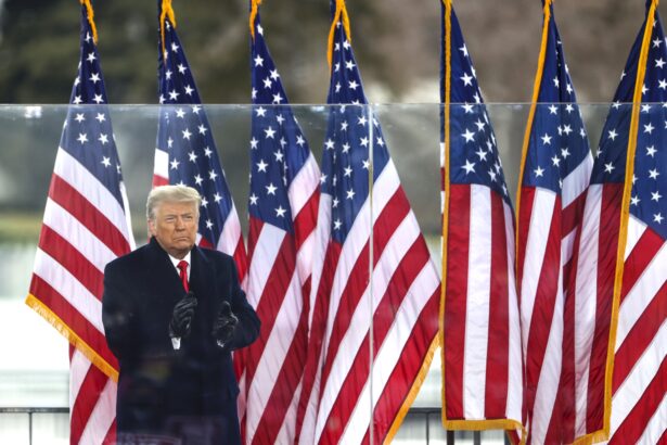 President Donald Trump greets the crowd at the "Stop The Steal" rally in Washington, on Jan. 6, 2021. (Tasos Katopodis/Getty Images)