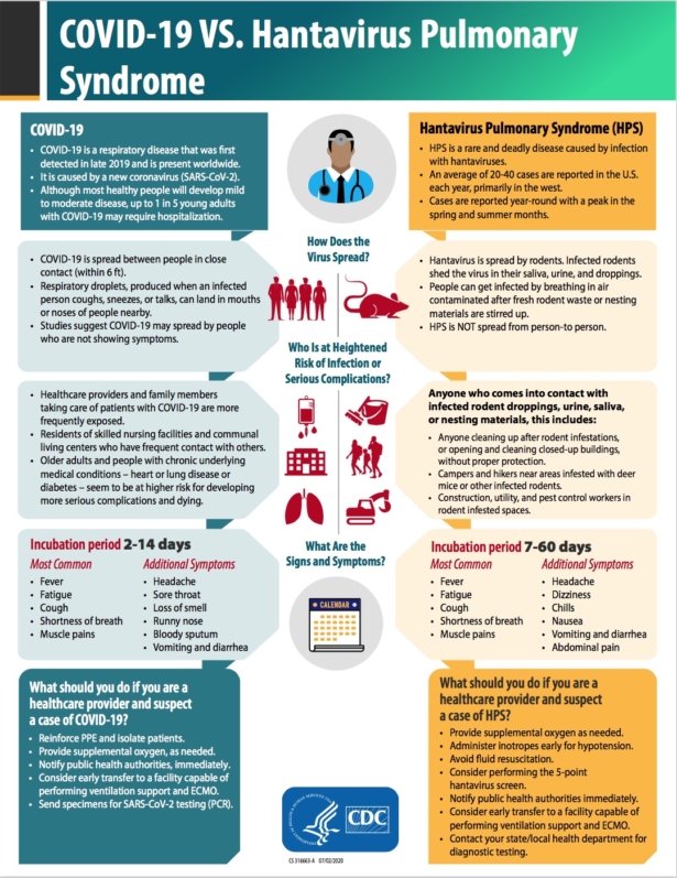 covid-vs-hantavirus